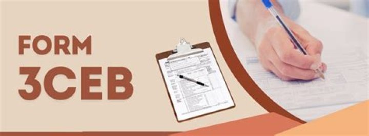 Is foreign company required to file Form 3CEB?