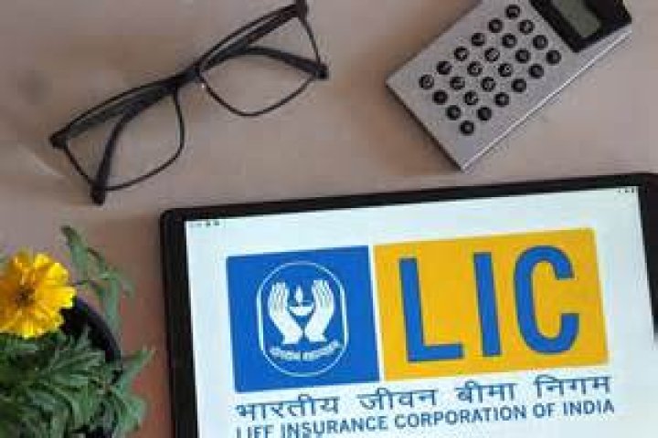 Is LIC sold by government?
