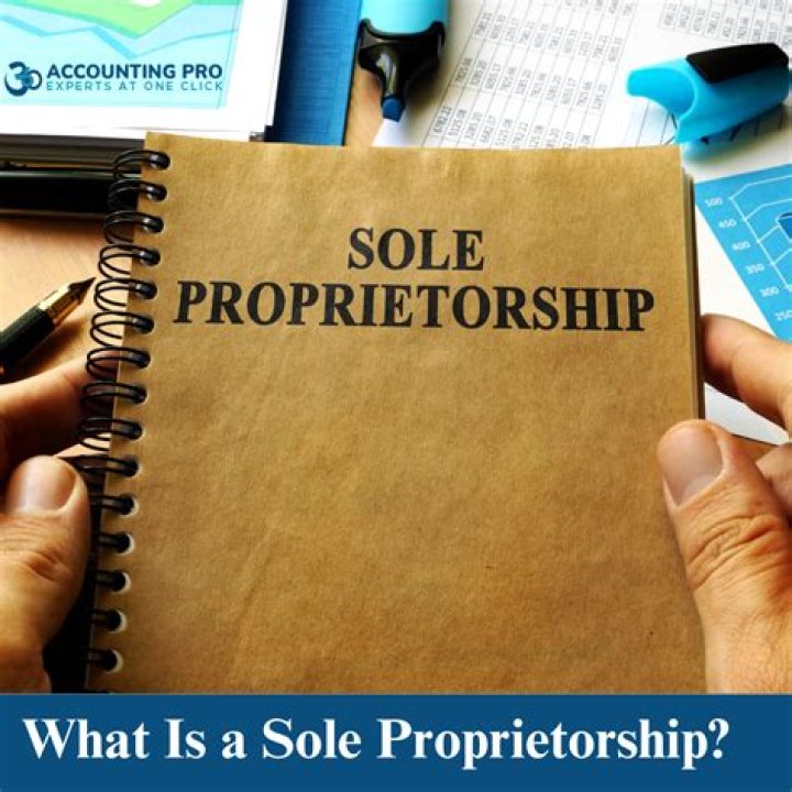 Is QuickBooks good for a sole proprietorship?