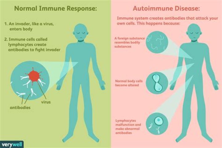Is RA an autoimmune disease?