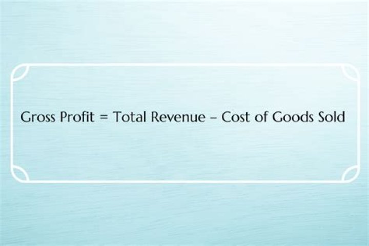 Is revenue equal to gross profit?