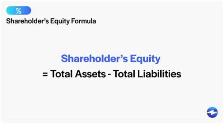Is shareholders loans equity or liability?