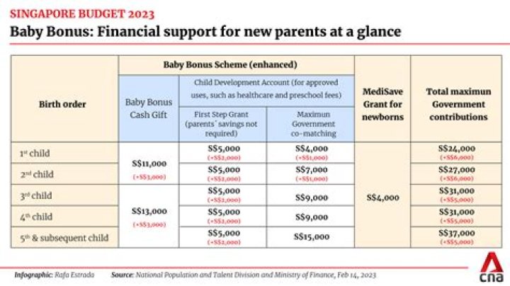 Is single mother eligible for baby bonus?