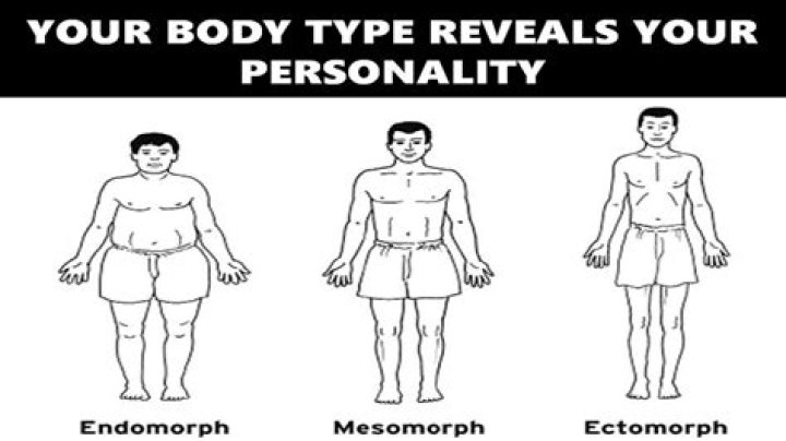 Is there a correlation between body type and personality?