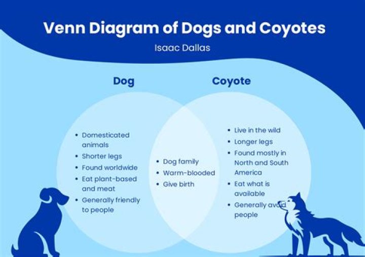 Is Venn diagram a graphic organizer?