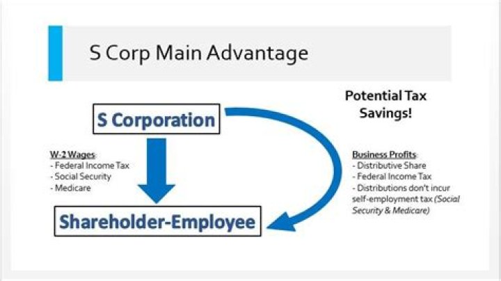 Should a freelancer form an S-Corp?