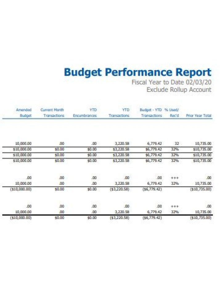 What are budget performance reports?