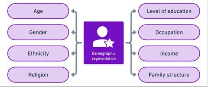 What are demographics of consumers?