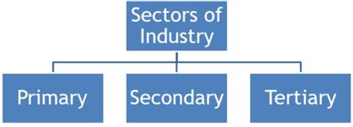What are examples of business sectors?