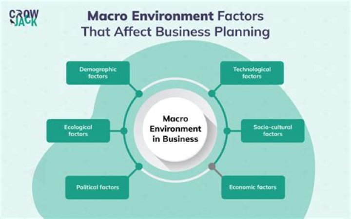 What are macro environment challenges?