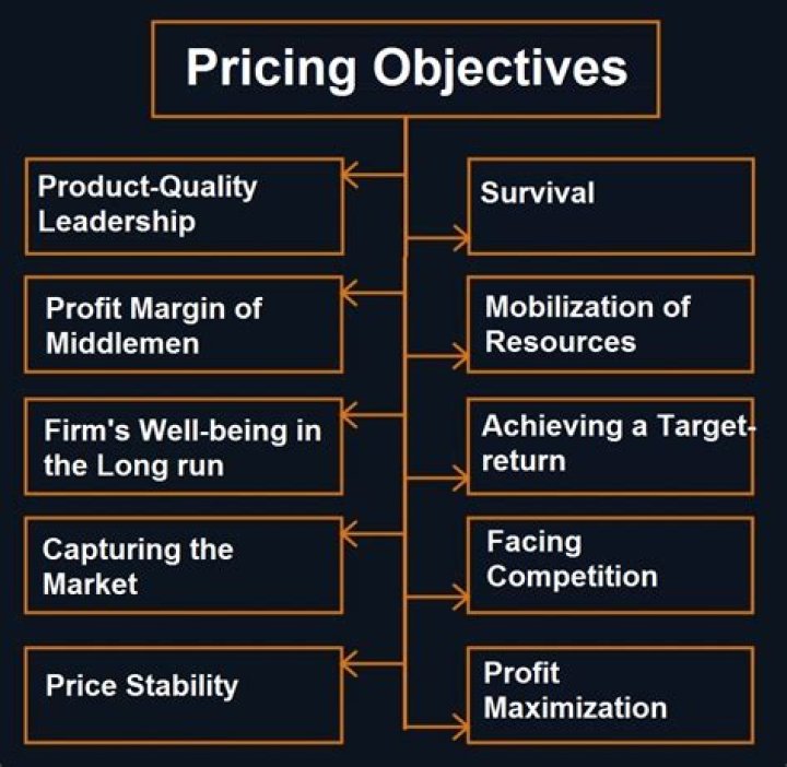 What are marketing pricing objectives?