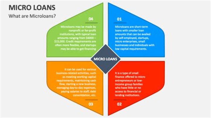 What are micro finance loans?