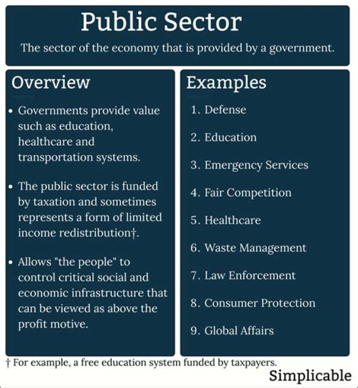 What are public sector goods?