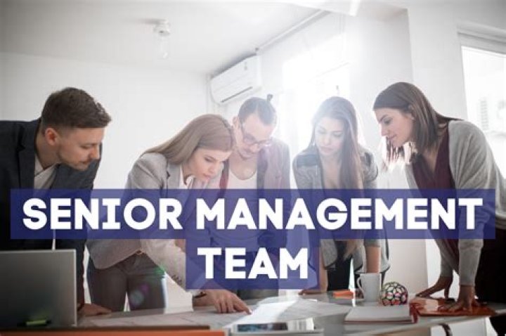 What are senior management meetings?