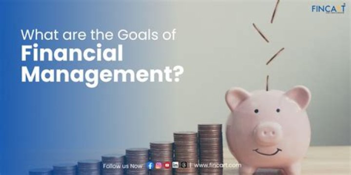 What are some of the other goals of financial management?