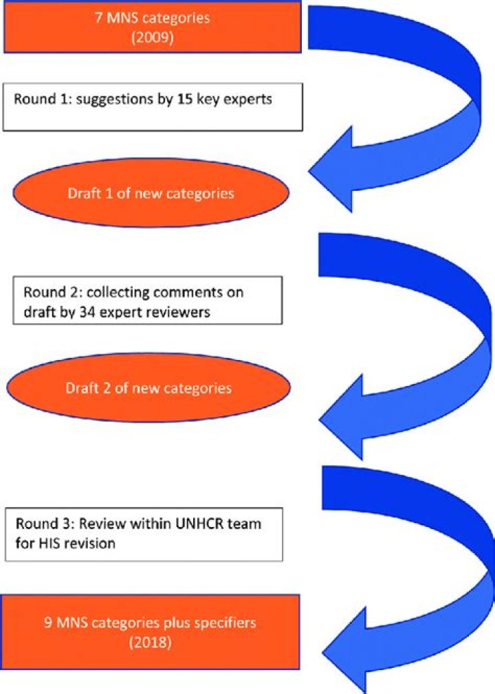 What are some questions to ask during the revision process?