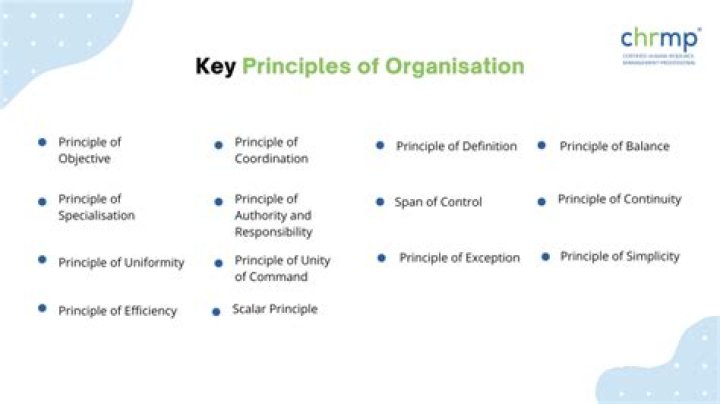What are standards in an Organisation?