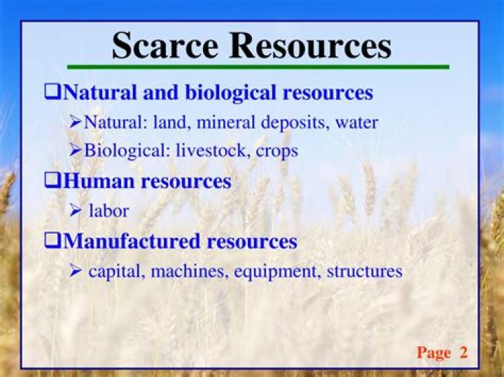 What are the 2 scarce resources?
