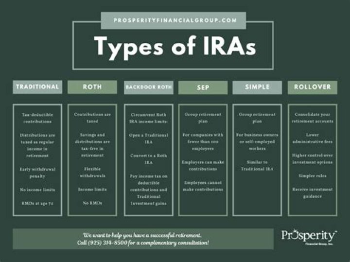 What are the 2 types of IRA contributions?
