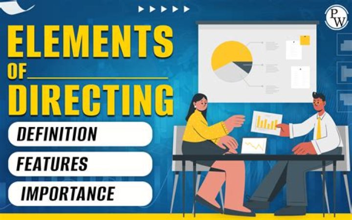 What are the 4 elements of directing?