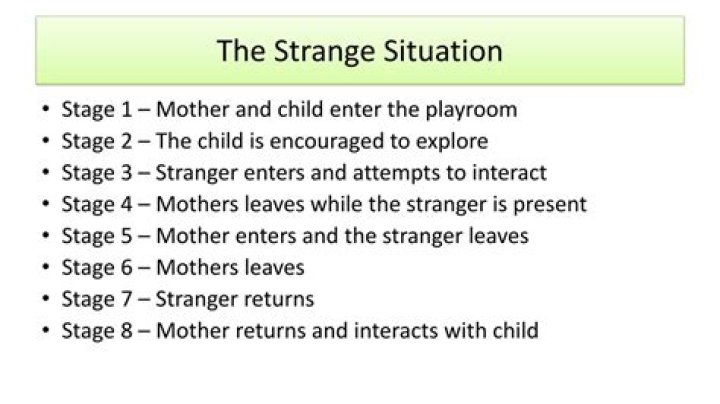 What are the 8 stages of the Strange Situation?