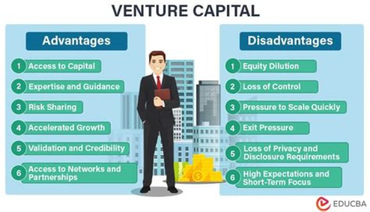 What are the advantages and disadvantages of owners capital?