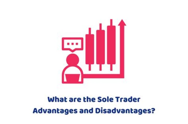 What are the advantages and disadvantages of sole trader?