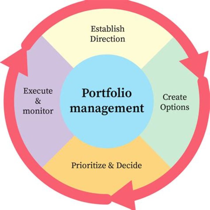 What are the advantages of professionally managed portfolio?