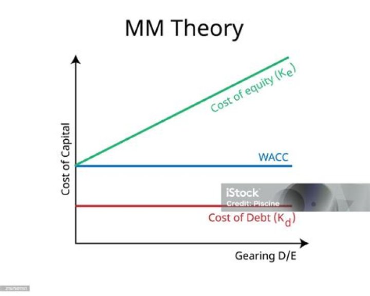 What are the assumption of MM theory?