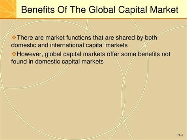 What are the benefits of the global capital market?