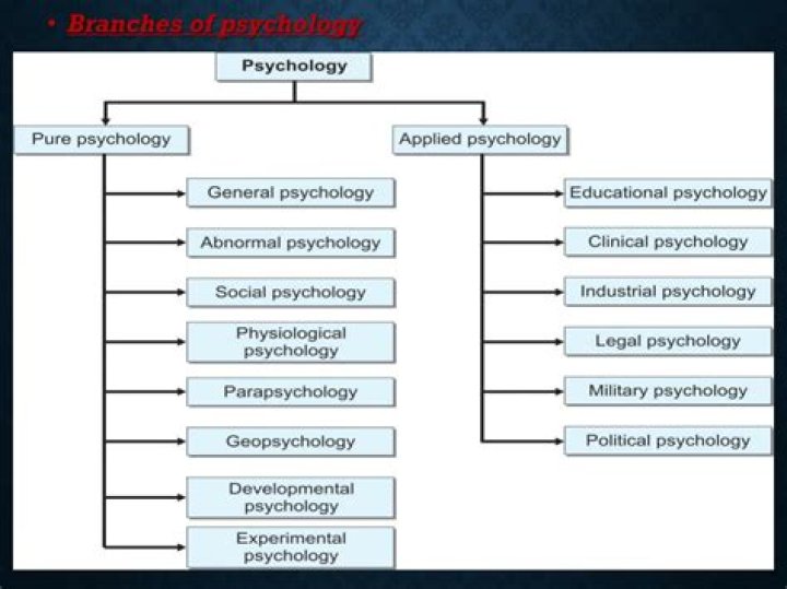 What are the branches of IO psychology?