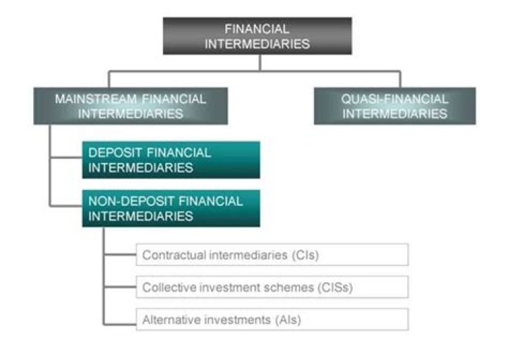 What are the characteristics of financial intermediaries?