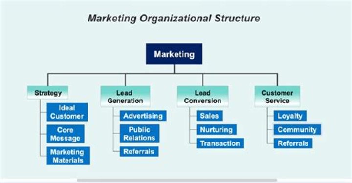 What are the common forms of marketing organization?