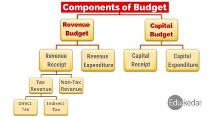 What are the components of cash budget?