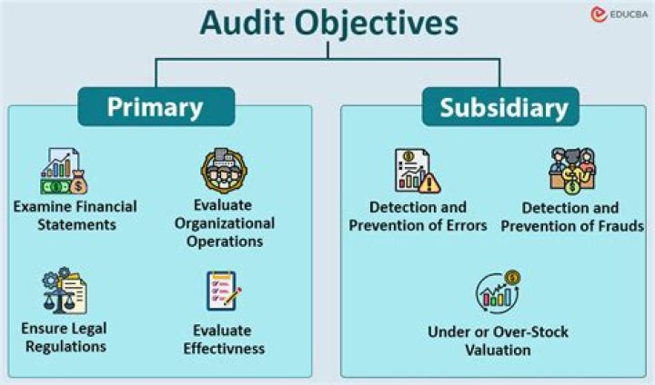 What are the different objectives of audit?