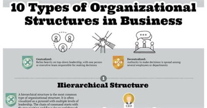What are the different types of organizational structures in business?