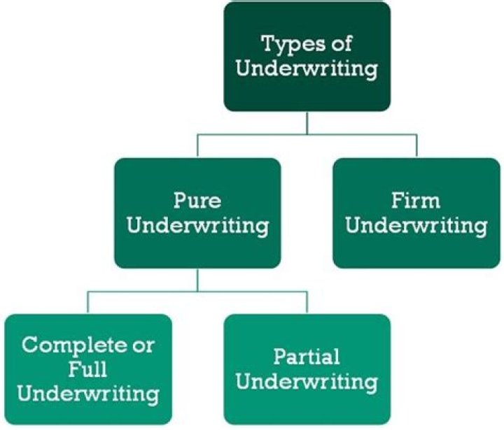 What are the different types of underwriting?