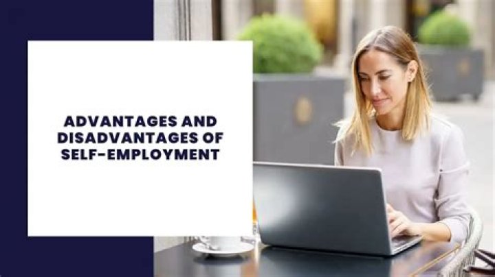 What are the disadvantages of being self-employed?