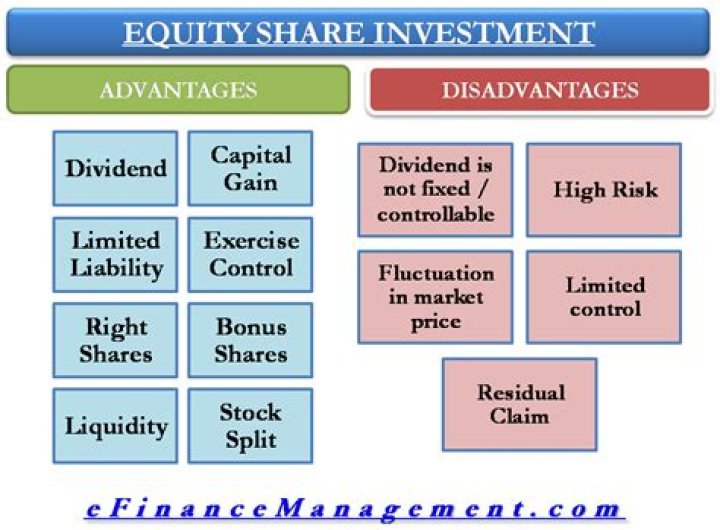 What are the disadvantages of equity?