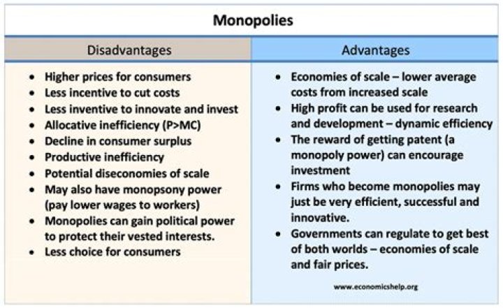 What are the disadvantages of multinationals?