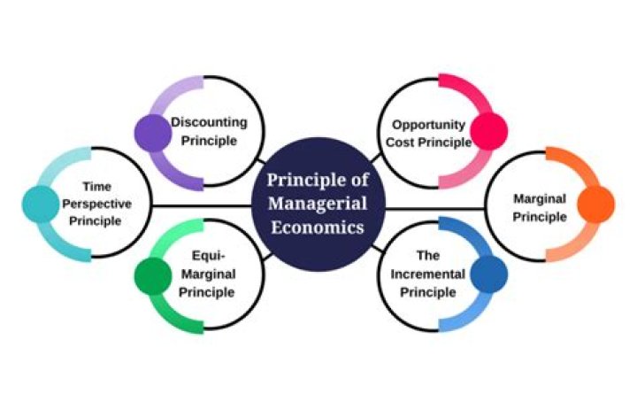 What are the economic principles of managers?