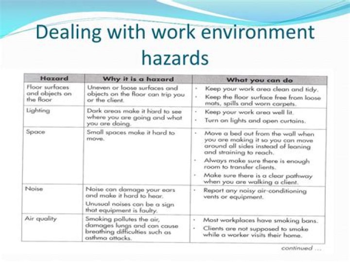 What are the examples of environmental hazards?