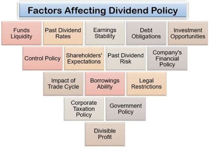 What are the factors determining dividend policy?