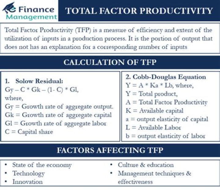 What are the factors that affect total factor productivity?