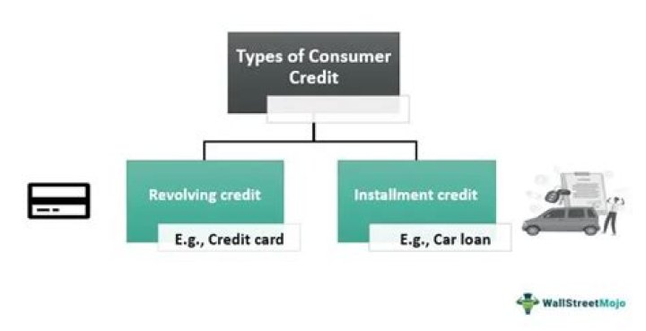 What are the four main types of consumer credit?