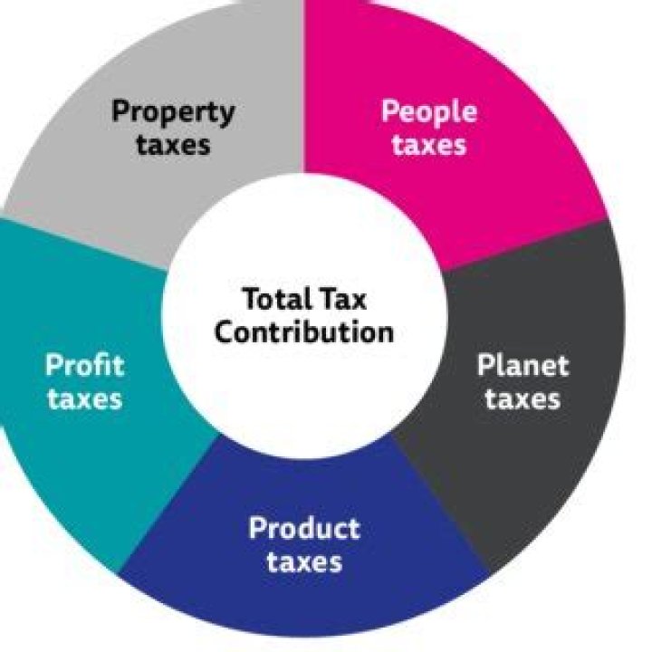 What are the four tax bases?