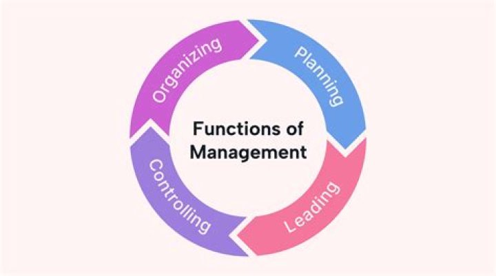 What are the functions and importance of organization?