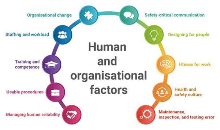 What are the human factors in organization?
