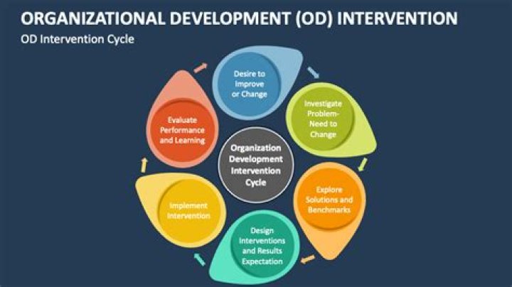 What are the interventions of organizational development?
