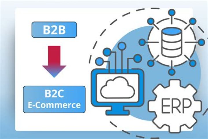 What are the major challenges in B2C e-commerce?